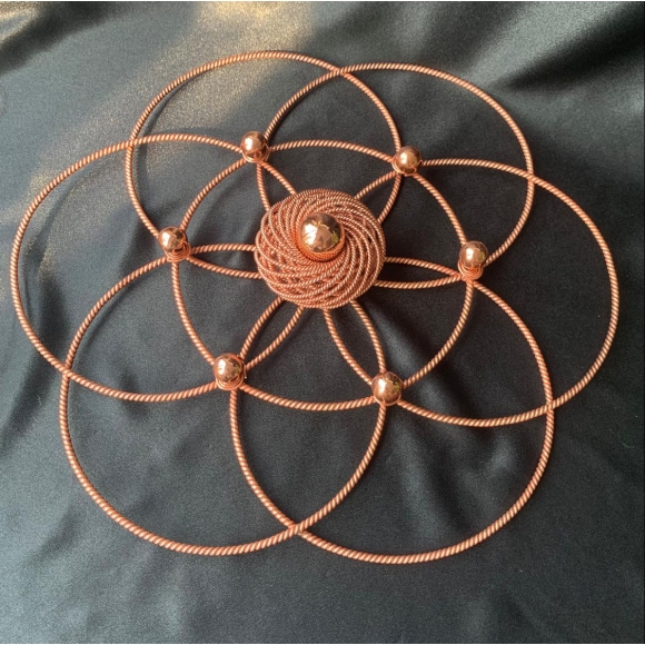 Flower of Life with Torus